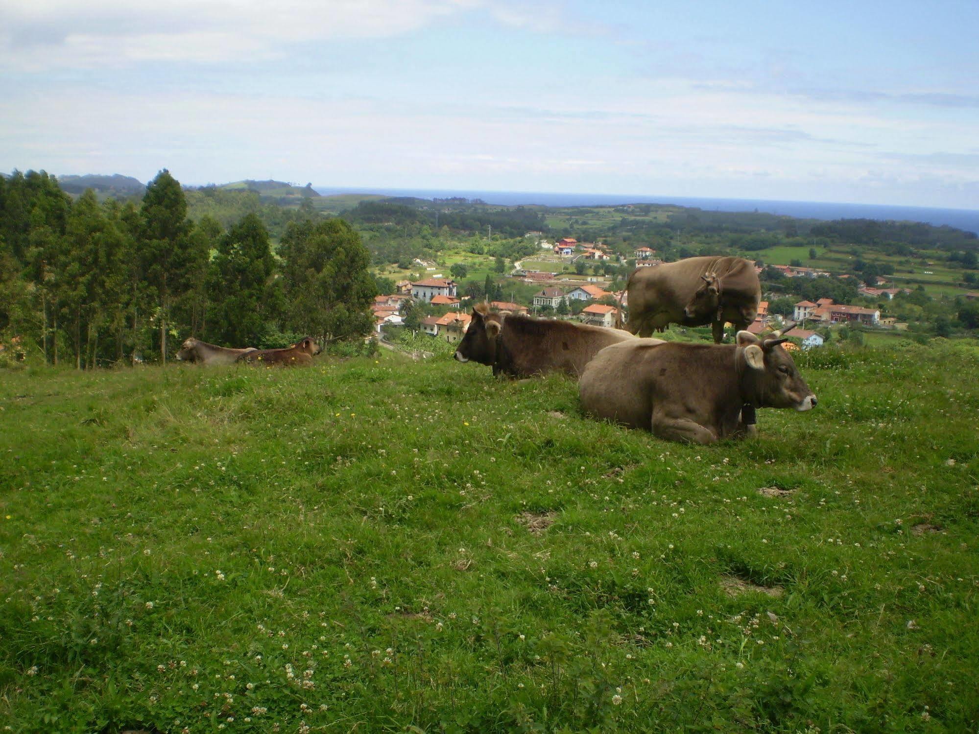Casa De Aldea Ruiloba Hotel Camango ภายนอก รูปภาพ